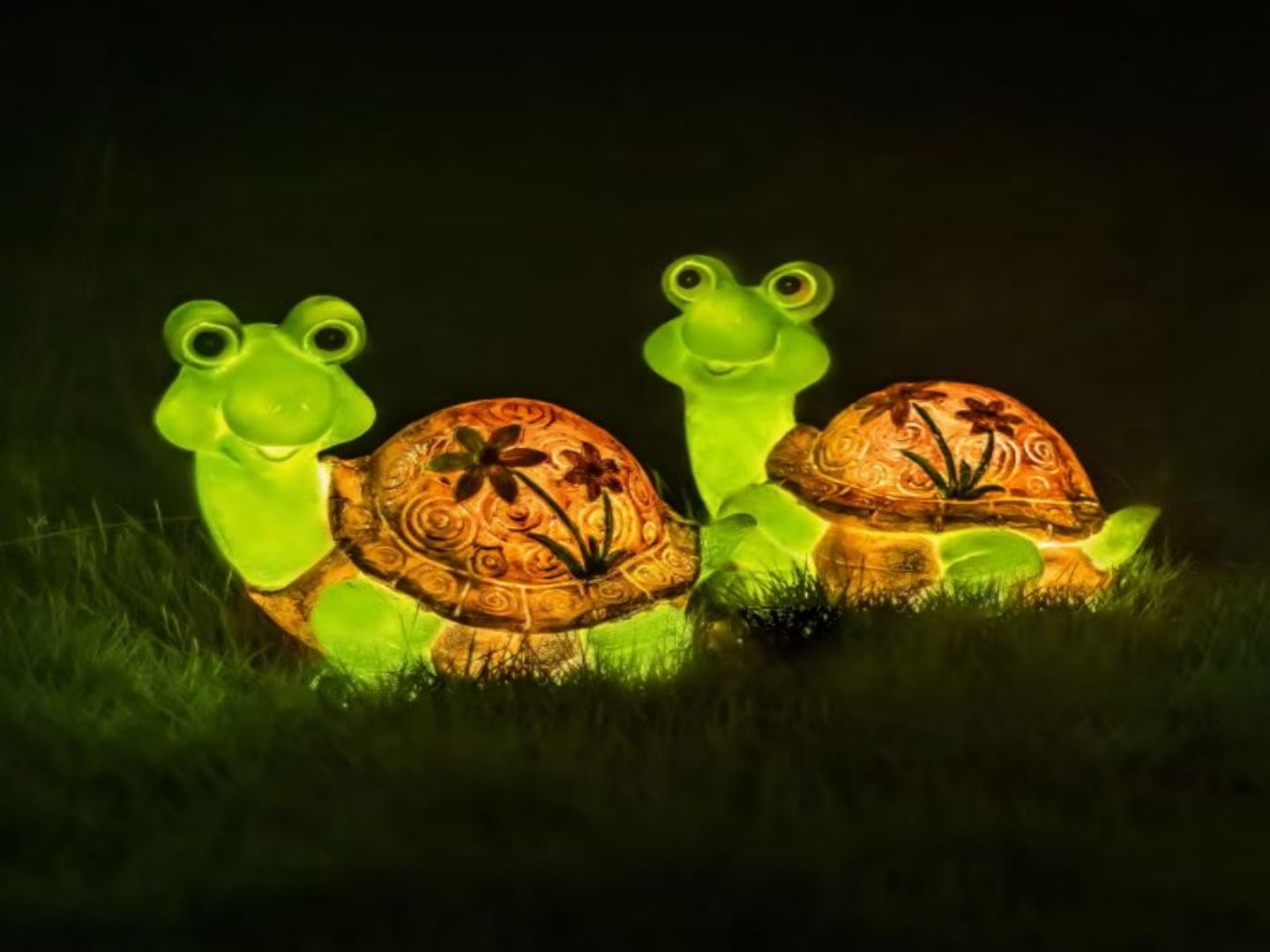 LED tortoise 